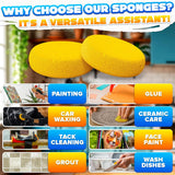24 Pcs Clay Sponges for Pottery