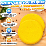 12 Pcs Pottery Sponges for Clay