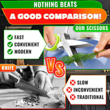 Herb Scissors with 5 Blades and Cover