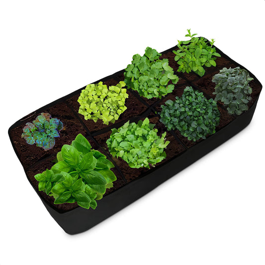 Rectangular container for plants grow with 8 holes